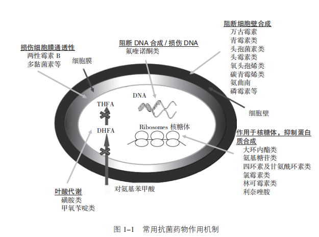 图1 图1