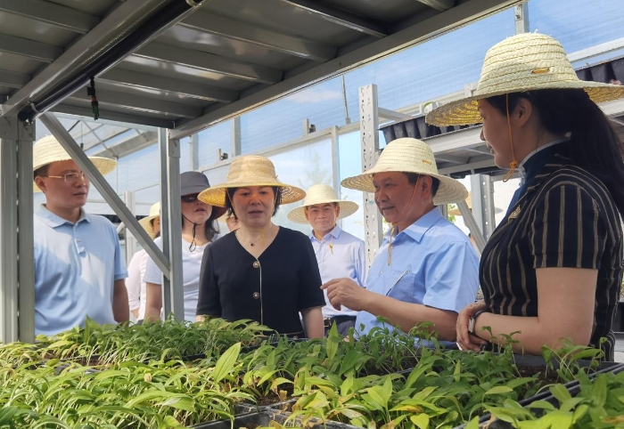 黄东红(前左二)一行在怀化林泉药业有限公司调研(喻灿华 摄).jpg 黄东红(前左二)一行在怀化林泉药业有限公司调研(喻灿华 摄).jpg