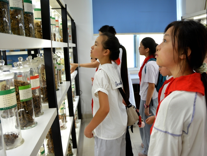 图为学生们在中药材样本保存室观看中药材样本。（通讯员 文光辉 摄）